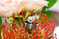 Wedding Portfolio